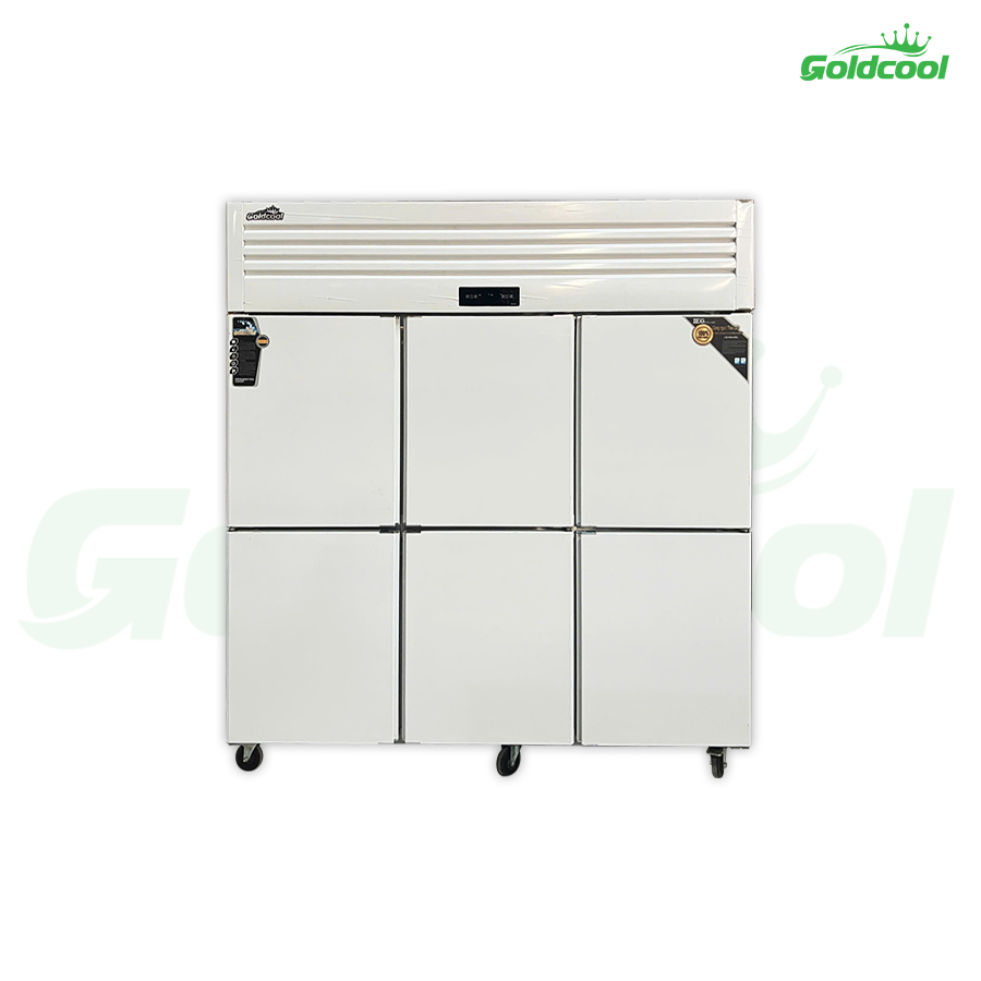 Tủ đông 6 cánh trực tiếp